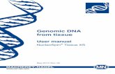 Genomic DNA from tissue Manual... · 2020-04-18 · Genomic DNA from tissue 6 MACHEREY-NAGEL – 05 / 2014, Rev. 06 2 Product description 2.1 The basic principle The NucleoSpin®