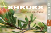 GROUND COVERS SHRUBS 2 - Hornsby Shire · Flowers White clusters. Flowers mostly in spring and summer. Fruit Produces orange berries in the summer. Origin China DISTINCTIVE FEATURES