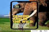 OFFLINE AND IN THE WILD...through industry collaboration, acknowledging that for wildlife, companies don’t need to be limited by competitive interests. The Coalition brings together
