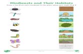 Minibeasts and Their Habitats - Amazon Web Services · 2020-05-04 · Minibeasts and Their Habitats Draw a line from each minibeast to the place where you might find it. spider dragonfly