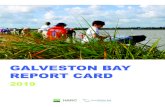 GALVESTON BAY REPORT CARD€¦ · The Galveston Bay Report Card is a citizen-driven, scientific analysis of the health of Galveston Bay. Supported by a grant from Houston Endowment