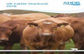 UK Cattle Yearbook 2018 - AHDB Beef & Lambbeefandlamb.ahdb.org.uk/.../uploads/2018/10/UK-Cattle-Yearbook-20… · UK Cattle Yearbook 2018. 1 Contents Chapter 1 – Introduction 3