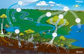 The Water Cycle - Department of Energy and Water Supply · The Water Cycle CS204 04/2018. Title: Waterwise water cycle poster Author: Queensland Government Subject: This poster of
