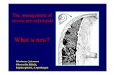 What is new? - NFOG · What is new? Marianne Johansen Obstetrisk Klinik, Rigshospitalet, Copenhagen. Disease of hypothesis Toxaemia •Phlebotomy •Emetics ... Guiseppe Arcimboldo,