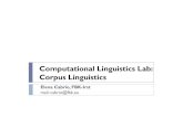 Comppgutational Linguistics Lab: Corpus Linguisticsdisi.unitn.it/~bernardi/Courses/CompLing/Slides_10... · Historical and theoretical background `Theoretical aspects of Corppgus