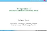 Computation in Networks of Neurons in the Brain · 2018-01-22 · Networks of Neurons in the Brain . Content 1. Theoretical results on the computational power of networks of spiking