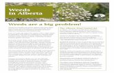 Weeds in Alberta - anpc.ab.ca · Weeds in Alberta Weeds are usually non-native species that have been introduced, intentionally or unintentionally, from other countries or ecosystems