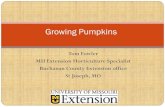 Growing Pumpkins - University of Missouriextension.missouri.edu/nodaway/documents/Growing... · Small pumpkins can yield 2,000-4,000 fruit/per acre (10-20 tons acre) Medium-Large