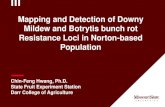 Mapping and Detection of Downy Mildew and Botrytis bunch ...gbg2018.u-bordeaux.fr/files/gbg2018/presentation/O34_Hwang_ed.pdf · Mapping and Detection of Downy Mildew and Botrytis