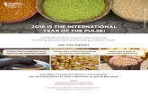 2016 IS THE INTERNATIONAL YEAR OF THE PULSE! Year of Pulses - IYP...United Nations has declared 2016 the Interna-tional Year of Pulses (IYP). What are Pulses and Why Celebrate Them?