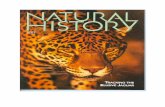 prueba - fundacion-jaguar.org the Elusive Jaguar.pdf · Jaguars populate a snaking strip of land from southern Arizona and New Mexico southward to northern Argentina. Hunting pressures