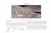 74220 - NASA · Apollo 17 (74220) is not like other lunar soil samples and is more like the green glass clod from Apollo 15. In fact the astronauts noted that it broke up in angular