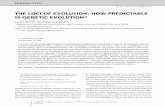 THE LOCI OF EVOLUTION: HOW PREDICTABLE IS GENETIC …vorgogoz/articles/Stern2008-loci-evolution.pdf · Evolution in different kinds of populations and over different durations may