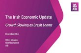 The Irish Economic Update - Allied Irish Banks · The Irish Economic Update Growth Slowing as Brexit Looms December 2016 Oliver Mangan Chief Economist AIB 1. Strong recovery by Irish