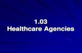 1.03 Healthcare Agencies - Alamance-Burlington School System · 2013-02-15 · 1.03 Understand healthcare agencies, finances, and trends Private Healthcare Systems Individuals purchase