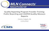 Quality Reporting Program Provider Training: Public Reporting and CASPER … · Quality Reporting Program Provider Training: Public Reporting and CASPER Quality Measure Reports Charles