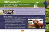 Incentives for Ecosystem Services - Food and Agriculture ... · Incentives for Ecosystem Services (IES) Contributes to FAO’s Strategic Objective 2 Make agriculture, forestry and