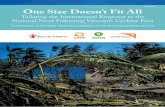 June 2015 One Size Doesn’t Fit All...One Size Doesn’t Fit All Tailoring the International Response to the National Need Following Vanuatu’s Cyclone Pam A contribution to the