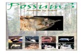 PossumS - ozwildlife.org · thinned these last few years. Perhaps it’s because most of the possums who shared our land and I knew so well perished during the 2000 bush fires. We