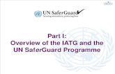 Part I: Overview of the IATG and the UN Saf Guard …ProtV+presentation-UNODA.pdf• Available in English, Arabic. French version is being finalized. 4 What issues do the IATG cover?