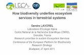 How biodiversity underlies ecosystem services in …share.bebif.be/data/EPBRS/2_Lavorell_EPBRS_2011.pdfHow biodiversity underlies ecosystem services in terrestrial systems Sandra LAVOREL