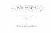 Applications of Non-critical String Theory To Non …theory.tifr.res.in/Research/Thesis/anindya_thesis.pdfApplications of Non-critical String Theory To Non-perturbative Physics And