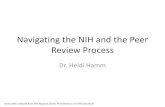Navigating the NIH and the Peer Review Process · Navigating the NIH and the Peer Review Process Dr. Heidi Hamm ... • CSR has over 800 study sections reviewing different biomedical