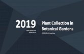 2019 Plant Collection in Botanical Gardens collection in botanical...آ  Seoul Botanic Park September