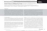 Pyrvinium Targets CD133 in Human Glioblastoma …...2015/09/30  · Cancer Therapy: Preclinical Pyrvinium Targets CD133 in Human Glioblastoma Brain Tumor–Initiating Cells Chitra