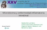 Microbioma y enfermedad inflamatoria intestinal · Microbioma y enfermedad inflamatoria intestinal. Simposi Paral·lel. Genetic susceptibility. Chronic intestinal inflammation. Mucosal