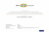 Final Report WP5 - BioBoost€¦ · D5.3/Final Report WP5 page 2/35 Final Report WP5 Summary Within workpackage 5 the following parts have been studied and investigated: The energy