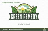 Bluegrass Remedy Distribution · Rack Cards I Window Clings & Banners I Bag Stuffers Green Remedy Buttons I Countertop Riser Display Optimized Social Media Resources Have you Tried