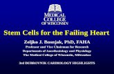 Stem Cells for the Failing Heart - European Society of ... · Implantation of stem cells Most transferred cells are dead within a week Difficult for cells to engraft, survive, proliferate,
