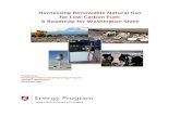 Harnessing Renewable Natural Gas for Low-Carbon Fuel: A ......2017 | Harnessing Renewable Natural Gas for Low-Carbon Fuel in Washington 3 2. Introduction Biogas, a mixture of methane,