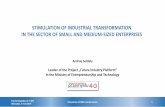 STIMULATION OF INDUSTRIAL TRANSFORMATION IN THE … · Stimulation of SME transformation 5 FUTURE INDUSTRY PLATFORM The Future Industry Platform is the governmental initiative supported