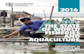 The State of World Fisheries and Aquaculture (SOFIA) 2016 ...pollution to restore aquatic ecosystem services and the productive capacity of the oceans. Current and future editions