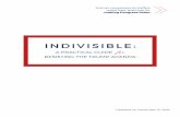 INDIVISIBLE - storage.googleapis.com · contributed money or attended events. On any given day in 2009 or 2010, only twenty local events — meetings, trainings, town halls, etc.
