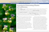 Livestock-Poisoning Plants of California · Table 1. Livestock-poisoning plants commonly found in selected regions of California Common name Scientific name North Coast arrowgrass