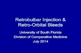 Retrobulbar Injection & Retro-Orbital BleedsRetro-Orbital Injection (ROI) •Retro-orbital injection allows multiple injections (must alternate eyes) and causes minimal distress if