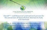 Leaf Energy Ltd - PPT · Leaf Resources Limited (ASX:LER) is focused on making sustainable products from plant biomass. We offer an advanced technology package for breaking down plant