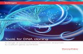Tools for DNA cloning - Thermo Fisher Scientificassets.thermofisher.com/...cloning-tools-brochure.pdfFor over 25 years we have provided superior tools for DNA cloning, continually