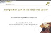 Competition Law in the Telecoms Sector - ku · Predatory pricing and margin squeeze • Both predatory pricing and margin squeeze are initiated for the purpose of foreclosing competitors