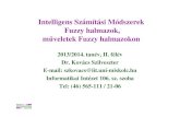 Intelligens Számítási Módszerek Fuzzy halmazok, műveletek …users.iit.uni-miskolc.hu/~szkovacs/IntSzamModszSeg/IntE3.pdf · Intelligens Számítási Módszerek Fuzzy halmazok,