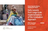 Preserving the Essence, Adapting for ... - Ford Foundation · companion analysis which synthesizes the lessons learned—will embolden other governments and NGOs to adopt, adapt,