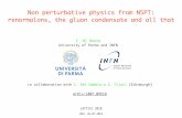 Non perturbative physics from NSPT: renormalons, the gluon ... · historical sinossi 1QCDSumRules:TwentyYearsAfter I will discuss a method of treating the nonperturbative dynamics