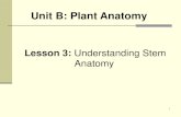 Unit B: Plant Anatomy · 2. Node – where the leaf and bud attaches to the stem 3.Internode – distance between two nodes; tells how much the tree grew in one season 4.Lateral bud
