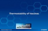 Thermostability of Vaccines - DCVMN · Goals of stability studies in product development •Establish product stability characteristics: ‒Understand factors that influence stability