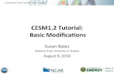 CESM1.2 Tutorial: Basic Modiﬁca7ons · 2016-08-04 · CESM1 Tutorial: Basic Modiﬁca7ons: Review 1. We will use the CESM code located locally on yellowstone, no need to checkout