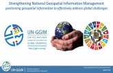 positioning geospatial information to effectively address ...ggim.un.org/meetings/2018-Deqing-Expert-Group... · Positioning geospatial information to effectively address global challenges