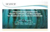 Innovative Approaches to Ocean Cultivation of … Keitz...Innovative Approaches to Ocean Cultivation of Macroalgae for Production of Fuels & Chemicals ARPA-E Workshop February 11 &